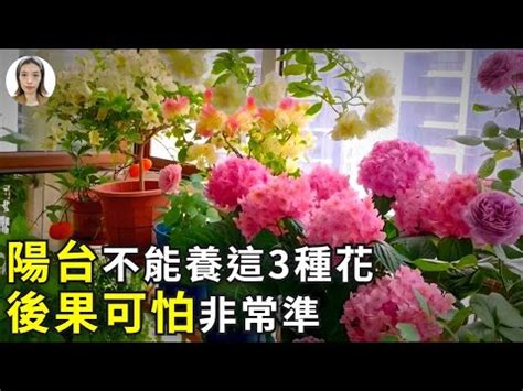 陽台不能種的花|陽台植物風水禁忌：5種不宜種植